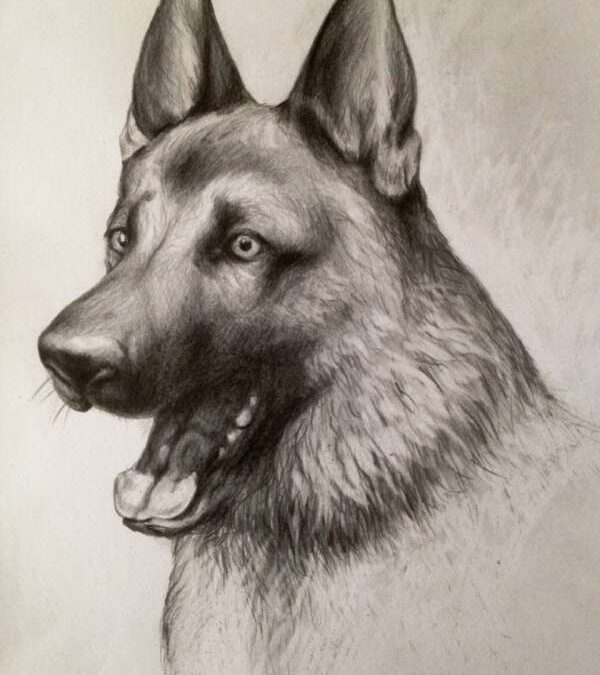 Portrait of a Dog (Max)